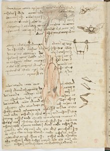Codice sul volo degli uccelli, c. 1505-06, manoscritto su carta, cc. 18, foglio 17 verso